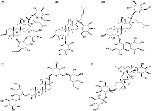 Figure 1. The five components of total saponins of Panax notoginseng inhalation solution (TIS). (A) Notoginsenoside R1; (B) ginsenosides Rg1; (C) ginsenosides Re; (D) ginsenosides Rb1; (E) ginsenosides Rd.
