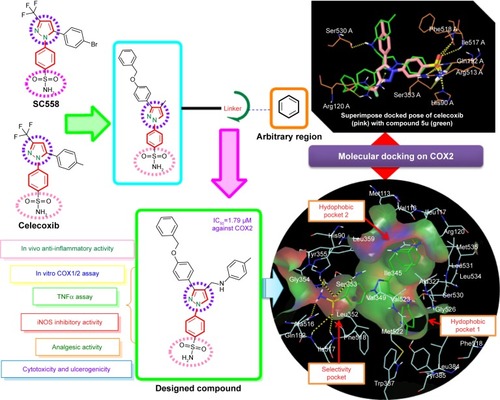 Figure 2 Strategy for design of target compound with structural resemblance of reference ligand.