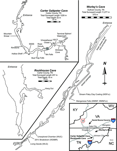 Fig. 1 Maps of the primary study sites: Carter Saltpeter Cave, Rockhouse Cave, and Worley's Cave. A map of Daniel Boone Caverns was not available at the time of this writing. Sampling locations are labeled with hash marks. Regional map inset shows the relative location of all four cave systems that are included in this study. Carter Saltpeter Cave survey conducted on February 8, 1981 by L. Adams, R. Knight, R. Page, and T. Wilson. Rockhouse Cave survey conducted on May 6, 1980 by L. Adams, T. Gingrich, and D. Nelms. Worley's Cave survey conducted from December 22, 1971 - August 8, 1973 by M. Adams, T. Anderson, C. Booth, R. Bowery, J. Cox, T. Harrison, D. Mire, A. Powers, D. Powers, and J. Powers. All cave maps adapted by S.K. Carmichael (color figure available online).