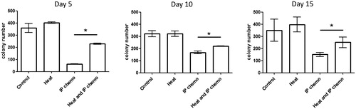 Figure 4. Difference between CFUs of bone marrow cells after treatment in mice. Hyperthermia alone did not affect proliferation and differentiation patterns of bone marrow progenitor cells. However, it prevented bone marrow suppression caused by IP chemotherapy. Results are presented as means ± standard error (n = 5 in each group). *p < .05