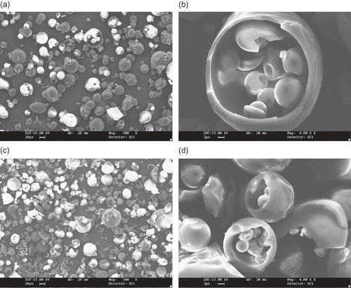 Figure 6 SEM microphotographs of different maltodextrins from supplier C: (a) C3 (DE 11 manioc maltodextrin, 500X); (b) C3 (DE 11 manioc maltodextrin, 4000x); (c) C4 (DE 30 manioc maltodextrin, 500X); (D) C4 (DE 30 manioc maltodextrin, 4000x).