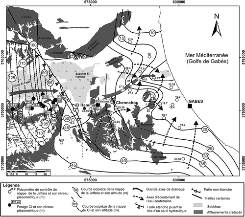 Fig. 4 Carte piézométrique de la nappe de la Jeffara, Janvier 2008.