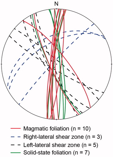 Figure 5. Stereonet showing the orientations of the magmatic- and solid-state structures recognised in the coastal outcrops of the St Peter Suite. Magmatic foliation refers to a magmatic-state foliation, which is generally defined by alignment of elongate euhedral to subhedral minerals, mafic schlieren, elongate mafic enclaves. At some sites, e.g. Smooth Pool, these foliations are parallel to an igneous layering, defined by compositional and textural variation in the granitic to intermediate rocks. Note that the two measurements that show north-northwest-strike are from The Granites and Cap Rosilly localities. There are two types of shear foliations, a set of right-lateral and a set of left-lateral shear zones. Both are predominantly strike-slip. These shear zones are melt-filled, indicating they formed while the magma was crystallising with late-stage, residual melt migrating into the dilational zones. Lineations were not observed in these shear zones. Also plotted are the solid-state foliations, which are generally represented by elongate recrystallised quartz aggregates, indicating deformation occurred subsequent to magmatic crystallisation.