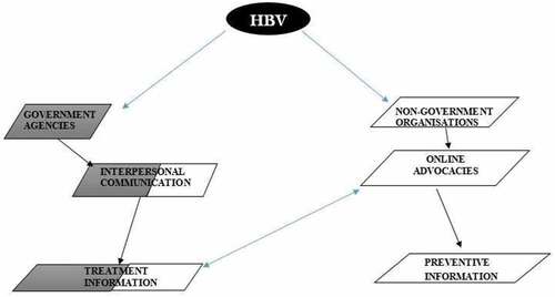 Figure 1. Illustration on government and nongovernment communication strategies on hepatitis B virus.