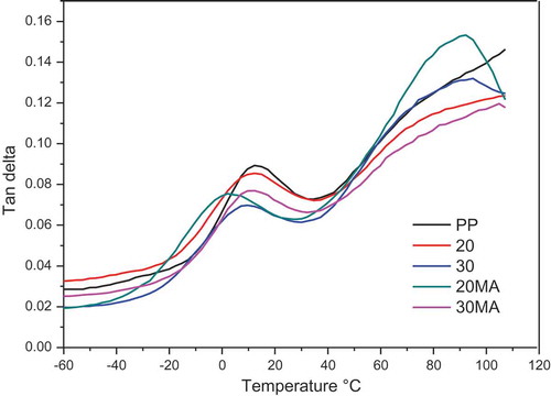 Figure 5. Effect of the temperature on the polymer and composites of different loading fiber.