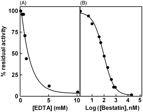 Figure 2. Effect of EDTA and bestatin on Cys-Gly hydrolase activity. Panel A: Purified enzyme was incubated both in the absence and in the presence of different concentrations of EDTA ranging from 0.25 to 10 mM. Panel B: Purified enzyme was incubated both in the absence and in the presence of different concentrations of bestatin ranging from 1 nm to 20 mM. Data are reported as percentage residual activity.