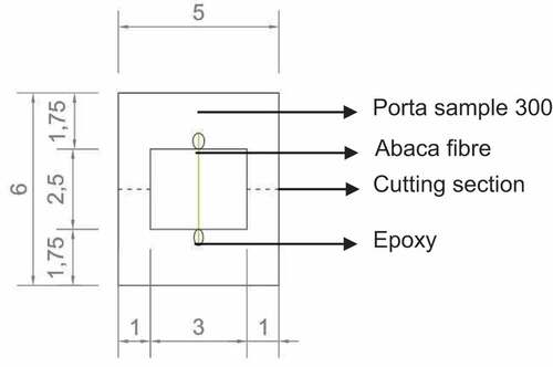 Figure 4. Porta sample for tensile test. Units: cm.