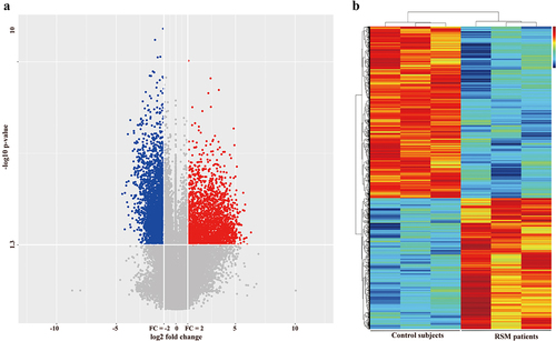 Figure 2. Differentially expressed genes between healthy controls and RSM patients. (a) Volcano plot showing that the two vertical lines are the 2-fold change boundaries and that the horizontal line is the statistically significant boundary (p < 0.05). Genes with a fold change ≥ 2 and statistical significance are marked with red and blue dots, respectively. (b) A heatmap was generated. Each line represents a single gene and each column represents a sample. Different colours indicate different expression levels. Red and black indicate upregulation and downregulation, respectively.