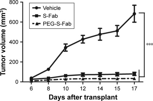 Figure 7 PEGylation of S-Fab induces a more potent in vivo antitumor activity.Notes: NOD–SCID mice (n=6 per group) were subcutaneously engrafted with LS174T cells and human PBMCs. Mice were then treated with PBS alone, 0.3 nmol of S-Fab or PEG-S-Fab daily over 6 days. The data represent the average tumor volume of six mice. The error bars represent the SEM. Data were analyzed by a two-way ANOVA using the GraphPad Prism 5 software (GraphPad Software, La Jolla, CA, USA). ***P<0.01 when comparing the vehicle with the S-Fab or PEG-S-Fab groups. LS174T, human colorectal cell line LS174T.Abbreviations: ANOVA, analysis of variance; NOD–SCID, nonobese diabetic–severe combined immuno deficiency; PBMCs, peripheral blood mononuclear cells; PBS, phosphate-buffered saline; PEG, polyethylene glycol; PEG-S-Fab, PEGylated S-Fab; SEM, standard error of the mean; S-Fab, single-domain antibody-linked Fab.