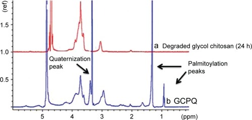 Figure 2 NMR spectrum of (a) degraded glycol chitosan and (b) GCPQ.Abbreviation: GCPQ, quaternary ammonium palmitoyl glycol chitosan.
