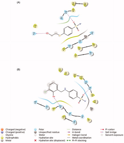 Figure 1. Interaction of the ligands with the key amino acids within the active site of hCA I (PDB ID: 4WUP). (A) Docking pose of the native ligand 3UF (4-[(2-hydroxyethyl)sulfanyl]benzenesulfonamide, PubChem CID: 4269754). (B) Docking pose of compound 8 (4-((3-chloro-2-hydroxybenzyl)amino)benzenesulfonamide).