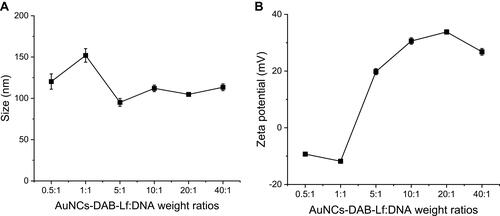 Figure 3 Size (A) and zeta potential (B) of AuNCs-DAB-Lf complexed with DNA at various AuNCs-DAB-Lf: DNA weight ratios. Results are expressed as mean ± SEM (n = 9) (error bars smaller than symbols).
