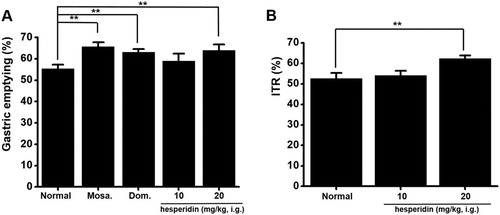 Figure 6. Effect of hesperidin on gastric emptying (GE) and intestinal transit rates (ITR). (A) For comparison, we used mosapride and domperidone. Hesperidin increased GE values. (B) Hesperidin accelerated ITR. Bars indicate mean values ± SEs. **P < 0.01. CTRL: Control. Mosa.: Mosapride; Dom.: Domperidone. i.g.: intragastric.