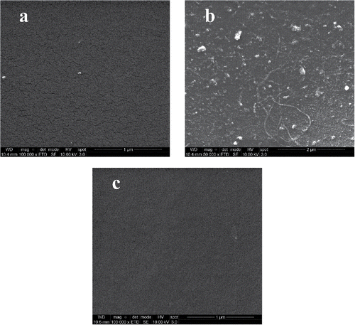 FIGURE 4 SEM images of cleaned membranes: a) pristine reference membrane, b) membrane exposed to process water and c) membrane exposed to MF permeate. Note the different scale in b).