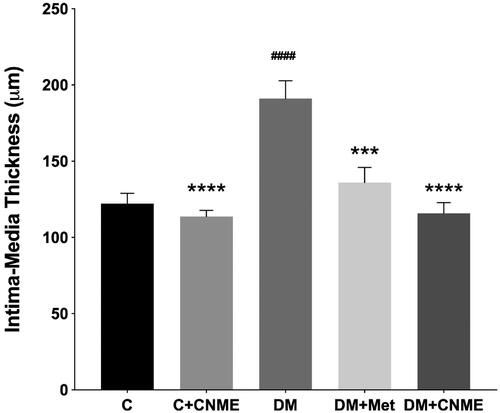 Figure 5. IMT of the thoracic aorta in the non-diabetic and diabetic rats treated with CNME. The diabetic groups treated with CNME or metformin had reduced aortic IMT compared to the untreated diabetic group. Data are presented as mean ± SEM (n = 12). ####p < 0.0001 vs. C group. ***p < 0.001, ****p < 0.0001 vs. DM group. Non-diabetic control group: C; non-diabetic group treated with 500 mg/kg CNME: C + CNME; untreated diabetic group: DM; diabetic group treated with 300 mg/kg metformin: DM + Met; diabetic group treated with 500 mg/kg CNME: DM + CNME.