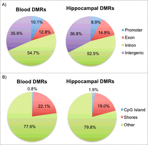 Figure 2. Genomic locations of the blood and hippocampal DMRs with respect to genes and CpG islands. (A) Pie charts for both blood and hippocampal DMRs show the percentage of DMRs that fall in promoters, exons, introns, and intergenic regions. (B) Pie charts for both blood and hippocampal DMRs show the percentage of DMRs that fall in CpG islands, shores, and non-CpG-associated regions (Other).