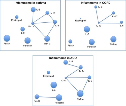 Figure 4 Network layout of inflammome in asthma, COPD, and ACO.
