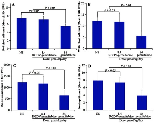 Figure 10 Count of red blood cells, white blood cells, platelets and neutrophil of the treated S180 mice. (A) Count of red blood cells; (B) count of white blood cells; (C) count of platelets; (D) count of neutrophil, n=12.Abbreviations: RGDV-gemcitabine, 4-(Arg-Gly-Asp-Val-amino)-1-[3,3-difluoro-4-hydroxy-5-(hydroxylmethyl)oxo-lan-2-yl]pyrimidin-2-one.