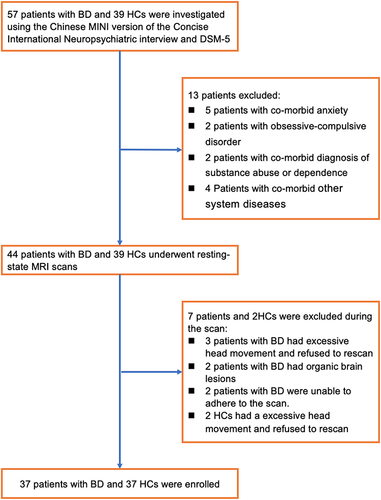 Figure 1 Flow chart of the selection process for the BD patients and the controls.