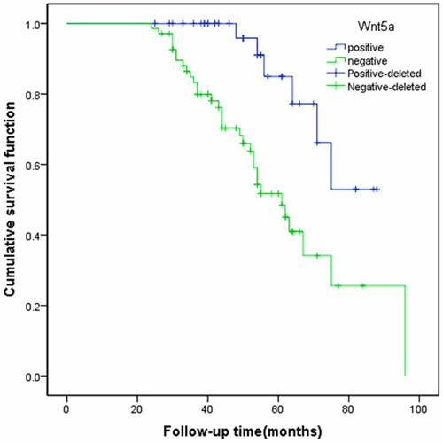 Figure 3 Relationship between Wnt5a expression and overall survival rate in patients with endometrioid adenocarcinoma.