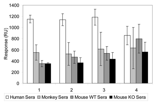 Figure 6. Biacore® responses using mAb A8 at various levels of immobilization on the chip. The sera from four different sources were used: human (white), rhesus monkey (light gray), mouse-wild type (dark gray) and mouse-knockout (black). The gene for the antigen targeted by the mAb detected was deleted in the knockout mice. The relative response increases (RU units) due to the immobilization of the antibody on the chip (before the exposure to serum) were 19400, 15400, 13500 and 7100 for groups 1, 2, 3 and 4, respectively.