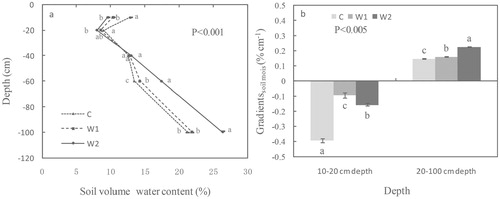 FIGURE 5. (a) Average volumetric soil water content profile at depths from 10 to 100 cm and (b) volumetric soil water content gradients from 10 to 20 cm in depth and from 20 to 100 cm in depth from 2 July to 30 September 2010 in the control (dotted line or light gray bar), moderately warmed (W1; dashed line or gray bar), and intensely warmed treatments (W2; solid line or black bar). Different letters indicate statistically significant differences at P < 0.05 among the three treatments, as determined by ANOVA followed by Tukey's test. Error bars represent the standard error for n = 5.