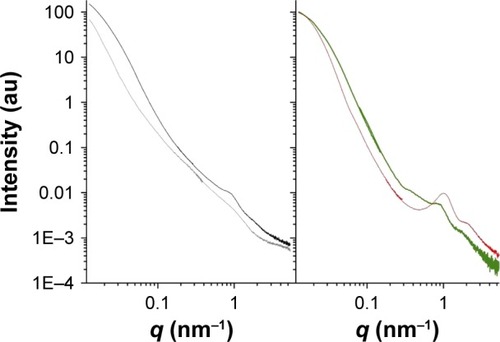 Figure 4 SAXS intensity spectra of SVT-LCN_MaiLab dispersed in artificial mucus.Notes: Left panel: SVT-LCN_MaiLab in 0.5% artificial mucus (black line) and 0.5% mucus (gray line). Right panel: SVT-LCN_MaiLab before interaction with artificial mucus (red line) and in mucus, after mucus spectrum subtraction (green line).Abbreviations: SAXS, small-angle X-ray scattering; q, momentum transfer; SVT-LCNs, simvastatin-loaded lecithin/chitosan nanoparticles; Mai, Maisine; Lab, Labrafac.