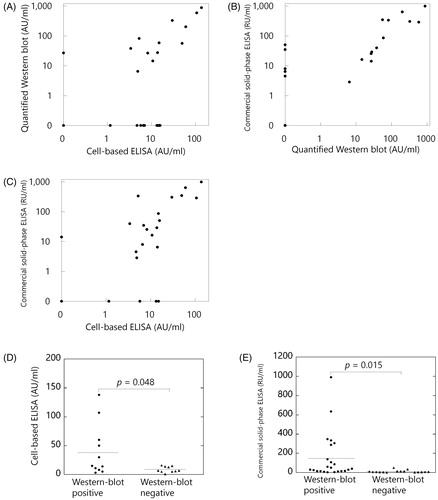 Figure 3. Association between the three measurement methods of anti-PLA2R antibodies. (A) Quantified western blot and cell-based ELISA (Pearson's correlation coefficient, r = 0.94). (B) Quantified western blot and commercial solid-phase ELISA (r = 0.84). (C) Cell-based ELISA and commercial solid-phase ELISA (r = 0.85). (D) The titres of anti-PLA2R antibodies by cell-based ELISAs were significantly higher in western blot-positive samples than those in western blot-negative samples among primary MN patients (p = .048). (E) The titres of anti-PLA2R antibodies by commercial solid-phase ELISAs were significantly higher in western blot-positive samples than those in western blot-negative samples among primary MN patients (p = .015). Correlations were evaluated by Pearson's correlation coefficient. p values were determined by Welch's t-test. Horizontal bars represent mean levels of each group in D and E.