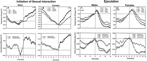 Figure 8. Changes in brain (NAc and MPAH) and temporal muscle temperatures in male and female rats associated with the initiation of copulatory behavior (A and B) and ejaculation (C and D). Left-side graphs show changes in temperature and brain-muscle differentials preceding and following the first mount/intromission of a session (= 0°C). Filled symbols show values significantly larger (ANOVA with repeated measuresfollowed by Fisher test, p < 0.05) from the pre-mount baseline. In males, temperature increase and rise of brain-muscle differentials began ~2 min before the mount/intromission, but in females, it occurred after this event. Right-side graphs show mean changes in temperature and brain-muscle differentials preceding and following ejaculation (= 0°C) he first mount/intromission of a session (= 0°C). Filled symbols indicate values significantly different (ANOVA with repeated measures followed by Fisher test) from the last pre-ejaculation value. n = the number of averaged events. Original data were published in [Citation59,Citation87] and replotted for this article.