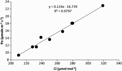 Figure 1. Linear regression between the photosynthetic rate (Pn) and intercellular CO2 concentration (Ci), which was used to calculate the carboxylation efficiency of cucumber (Cucumis sativus) plants.