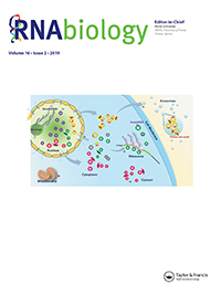 Cover image for RNA Biology, Volume 16, Issue 2, 2019