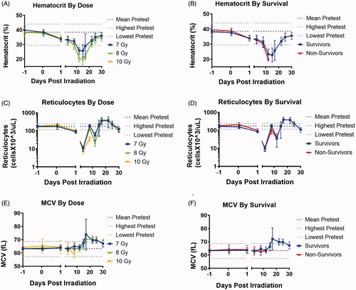 Figure 3. Red blood cell parameters hematocrit (A,B), reticulocytes (C,D) and MCV (E,F) are shown by radiation dose (A,C, E) and by survival status (B, D, F), with mean ± standard deviation per time point respectively. A gap is introduced between days 1 and 2 to represent two separate time scales post- and pre- gap. Horizontal axis days post-irradiation value “−1” indicates a pre-radiation timepoint value and “0” represents the 1-h time point value.