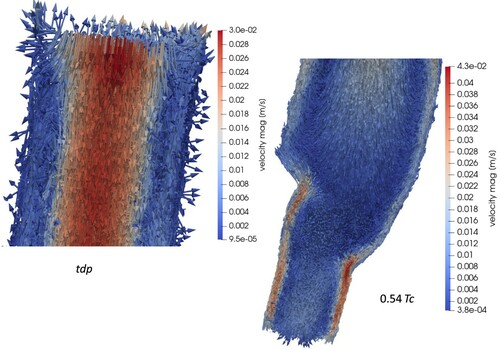 Figure 23. Test 4. Zoom of the velocity fields for tdp and 0.54 Tc.