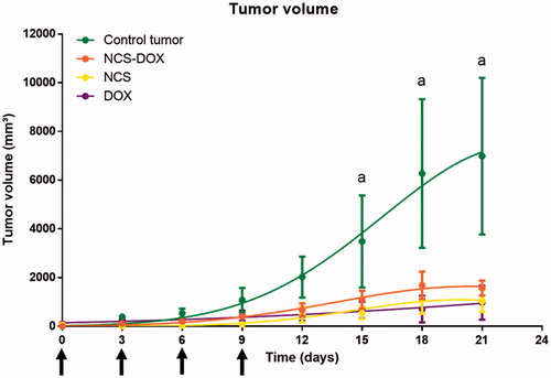 Figure 4. Graphs represents evolution of 4T1 tumours volume in mice treated with free doxorubicin (DOX), nanocapsules containing selol and doxorubicin (NCS-DOX), nanocapsules of selol (NCS) and control group (vehicle only, which consisted of an aqueous solution of glucose 5% w:v). Treatments were performed at days 0, 3, 6 and 9 (arrows). Data are expressed as mean ± standard error of the mean. n = 6 mice per group. a=p < .05 versus all other treatments.