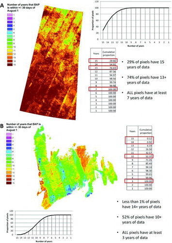 FIG. 6. The observation yield of BAP pixels that provide the basis for composite development for Saskatchewan (A) and Newfoundland (B).