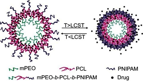 Figure 4 Self-assembly (SA) of the copolymer and the thermally induced drug release of resulting micelles in aqueous solution. Reprinted from Cao X, Chen Y, Chai W, Zhang W, Wang Y, Fu PF. Thermoresponsive self-assembled nanovesicles based on amphiphilic triblock copolymers and their potential applications as smart drug release carriers. Journal of Applied Polymer Science. 2015;132(4):41361–41372. Copyright 2014, with permission from John Wiley and Sons.Citation51