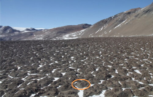 Figure 1. Example of debris-covered valley with permafrost polygons, they are seen as the brown debris mounds with the white snow/ice around circling them next to each other, circled in orange is an example of one of these polygons.