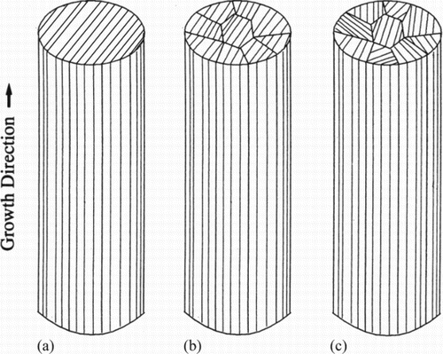 Figure 11. Potential microstructural variety in directionally solidified crystals with the same Φ angle: (a) polysynthetically twinned crystal, PST, (b) columnar grains, approximately co-planar lamellar interfaces, (c) columnar grains, non-coplanar lamellar interfaces, but same Φ angle in every grain. In the present example, . Adapted from [Citation107] (reproduced with permission).