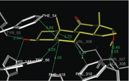 Figure 6.  Docking of metabolite 8α (yellow stick) in the active site of PGE2 9-KR. Hydrogen atoms of the amino acid residues have been removed to improve clarity