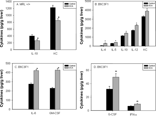 FIG. 3 Levels of IL-10 and KC chemokine in liver extracts of MRL+/+ (A) and of multiple cytokines in liver extracts of B6C3F1 mice (B–D) exposed to vehicle or DCA for 12 wk. The values represent the mean ± SEM (n = 6); *p < 0.05 when compared to the respective control.