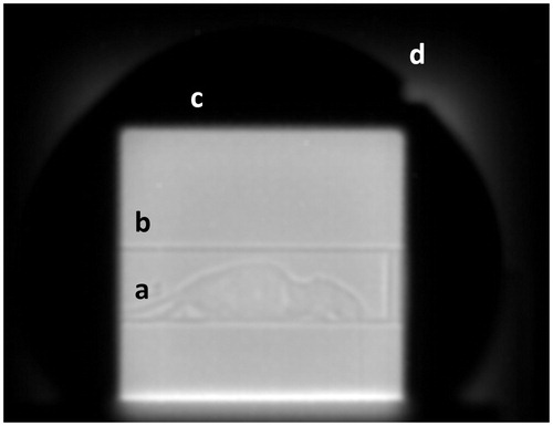 Figure 2. Raw scattering mode proton radiography image of a mouse (a) within the bedding unit (b). The edge of the brass collimator which shapes the extended proton field (c) can be visually identified by the bright corona (d) at its edges.