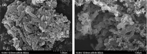 Figure 5. Scanning electron microscope images of (a) MCM-41 and (b) SBA-15.