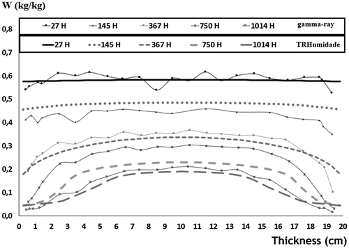 Figure 11. Autoclaved cellular concrete (ACC) water content hydric profiles results comparison (gamma ray vs. TRHumidade).