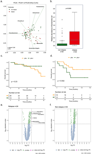 Figure 1. Patients with right-sided colorectal cancer exhibit distinct bacterial profiles and showed poor survival in patients colonized by Colibactin. (a) Principal coordinate analysis (PCoA) with Bray-Curtis distances matrix between non-relapse and relapse right-sided CRC patients. (b) Box plot with the relative abundance of Escherichia coli. The significance p-value was calculated using the Wilcoxon rank sums test. (c) Kaplan-Meier analysis from patients colonized by Escherichia coli harboring the pks island at stage I-II. (d) Kaplan-Meier analysis from patients colonized by Escherichia coli harboring the pks island at stage III-IV. (e) and (f) volcano plots of differentially expressed metabolites between tumor tissue and tumor-adjacent stroma in two groups: relapse (24 tumors versus 21 tumors-adjacent stroma) and non-relapse (53 tumors versus 51 tumors-adjacent stroma), respectively. Dashed lines indicated the following significance threshold: 2.0 > log2 fold change < -2.0 and FDR-adjusted p-value <0.0005.