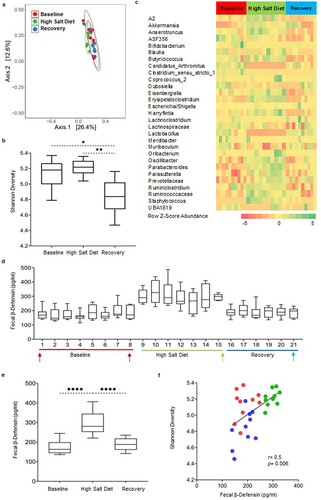 Figure 3. The high salt diet alters gut microbiota composition and modulates host fecal β-defensin secretion in mice. a) PCoA plot based on a Bray Curtis distance matrix analysis of the fecal microbiota composition over the course of the experiment in mice. Community composition was compared by ADONIS2 with 999 permutations. Ellipses indicate 95% confidence intervals and were generated as a distribution around a centroid for each group based on ADONIS2. b) Changes in alpha-diversity using Shannon diversity index, analysis was performed by 1- way ANOVA followed by Dunn’s testing for multiple comparisons. Data is presented as box and whisker plot with whiskers extending from 10th to 90th percentile. c) Heatmap of all the significantly differential abundant taxa (aggregated at genus level) in mice evaluated using ANCOM-BC. Color intensity on heatmaps was generated by using z-scores calculated based on relative abundance of each bacterial taxa. d) Time-course graph showing fluctuations in fecal β-defensin-3 values in mice over the course of the experiment. Time points chosen for microbiota analysis are indicated with arrows. e) Composite of mean changes in β-defensin-3 secretion during the three experimental timepoints, presented as box and whisker plot with whiskers extending from 10th to 90th percentile. Statistical differences were calculated using the Kruskal–Wallis test followed by post hoc Dunn’s test for multiple comparisons. f) Correlation between changes in alpha diversity values and defensin secretion in mice during the course of the experiment. Red symbols represent associations between baseline and β-defensin levels, while green and blue symbols represent intervention timepoints and day 21 of recovery time point, respectively. Correlations were generated using Spearman rank index. Baseline days 1 and 7 were combined for the analysis. n = 4–5 mice/group. p < 0.05 was considered significant. **** = p ≤0.0001, *** = p ≤0.001, ** = p ≤0.01, * = p ≤0.05.