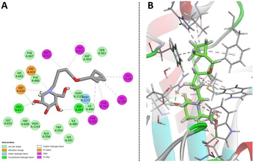 Figure 5. Interactions of ligands 26 (A) and 38 (B) at the binding site.