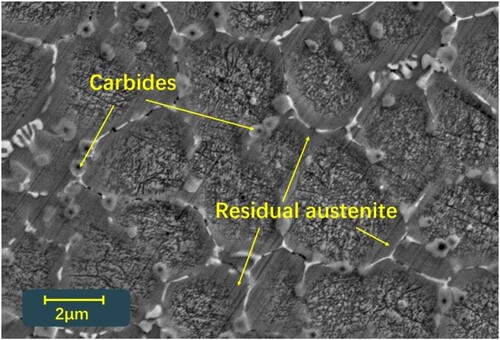 Figure 13. Precipitate and carbides in the deposited layers.