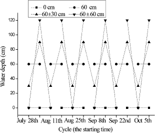 Figure1. A graph of the experimental system with water depth (cm) on the y-axis. Each treatment was replicated three times in outdoor ponds (3.0 m long × 1.4 m wide × 1.5 m deep) and the water levels in the fluctuating depth treatments occurred every week.