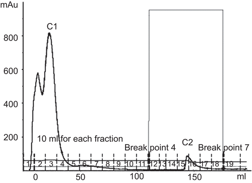 Figure 4.  Affinity chromatogram of crude protein from Parkia speciosa on Con A Sepharose column (1.6 × 5 cm). Flow rate 1.5 mL/min. The equilibration buffer was 20 mM Tris-HCl, pH 7.4, containing 0.5 M NaCl, 1 mM CaCl2·2H2O, 1 mM MnCl2. The eluted lectin buffer was 20 mM Tris-HCl, pH 7.4, containing 0.1–0.5 M methyl-α-d-mannopyranoside.