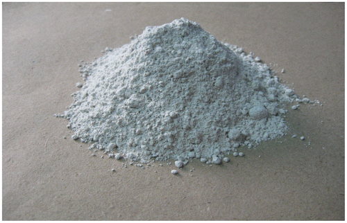 Figure 6. Photograph of lime mud.